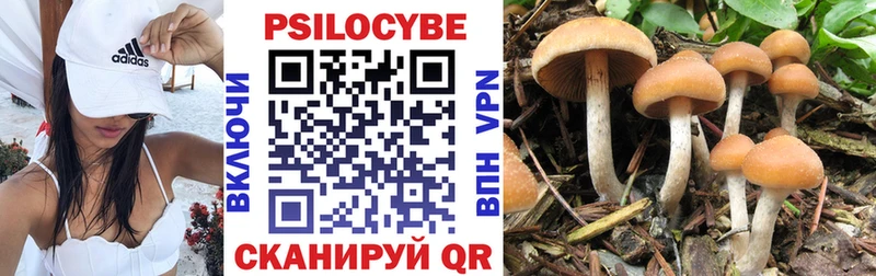 Псилоцибиновые грибы Magic Shrooms Шилка