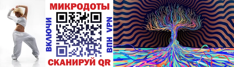 Псилоцибиновые грибы Psilocybine cubensis  Шилка 